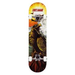 Tony Hawk SS 180 Complete - Hawk Roar