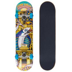 Tony Hawk SS 180 Complete Cobra Temple