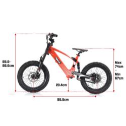 Revvi 18" Electric Balance Bike FINAL PAYMENT AND POSTAGE 1ST BATCH