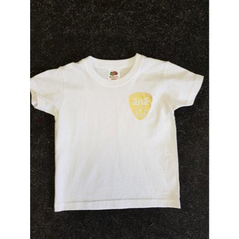Sns pleck Logo - Gold  £15.00